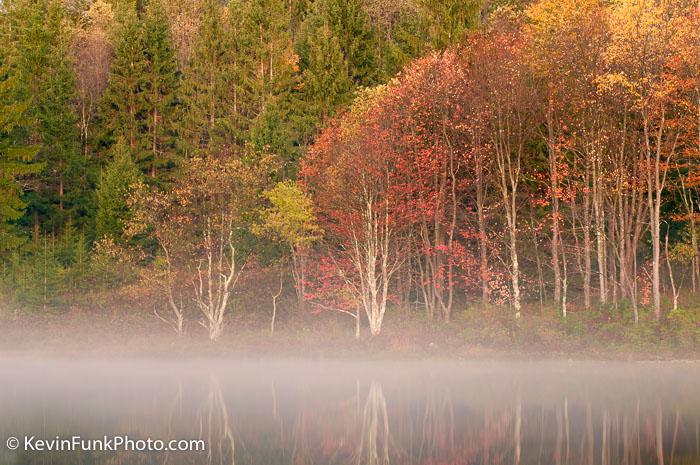 Pendleton Lake - Blackwater Falls State Park - West Virginia