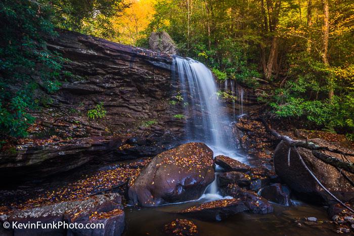 Pendleton Falls #4 Blackwater Falls State Park  West Virginia