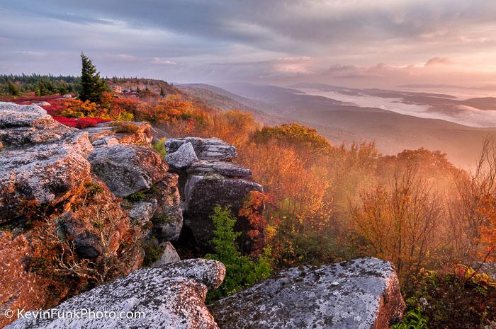 Bear Rocks Preserve Dolly Sods Wilderness - West Virginia