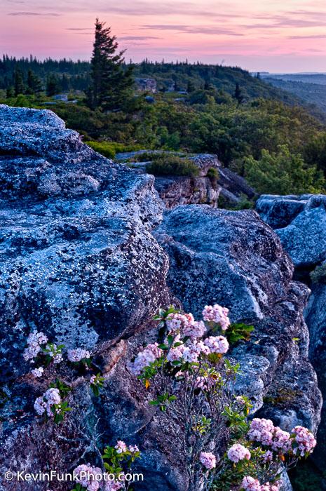 Bear Rocks Dolly Sods Wilderness - West Virginia