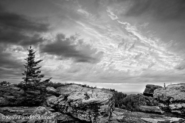 Bear Rocks Dolly Sods Wilderness - West Virginia Black and White