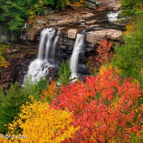 Blackwater Falls - Blackwater Falls State Park - West Virginia