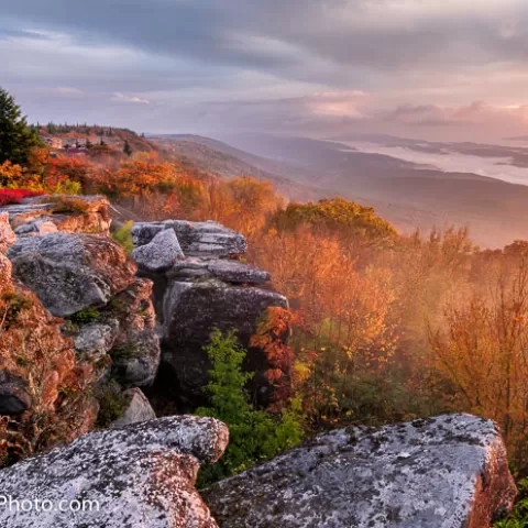 Bear Rocks Preserve Dolly Sods Wilderness - West Virginia