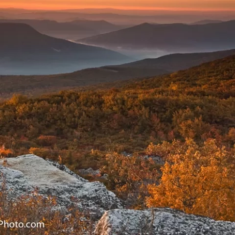 Dolly Sods Wilderness Autumn Sunrise West Virginia