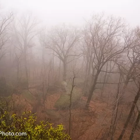 Coopers Rock State Forest - West Virginia Foggy Overlook