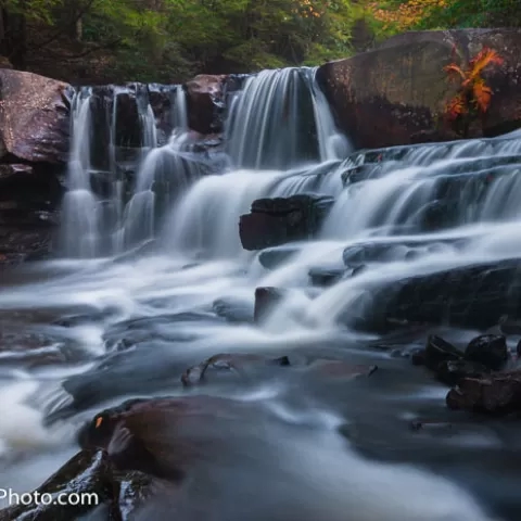 Pendleton Falls #1 - Blackwater Falls State Park - West Virginia