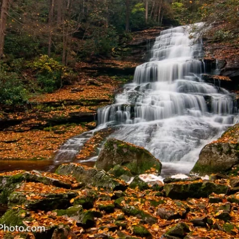 Elakala Falls #4 Blackwater Falls State Park West Virginia