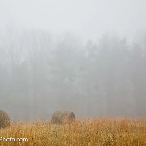 Foggy Hay Field in Paw Paw West Virginia