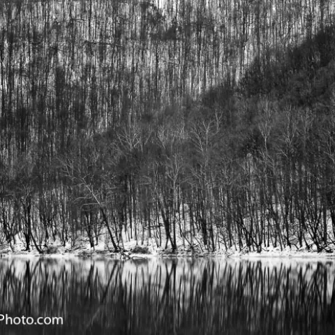 Valley Falls State Park West Virginia Black and White