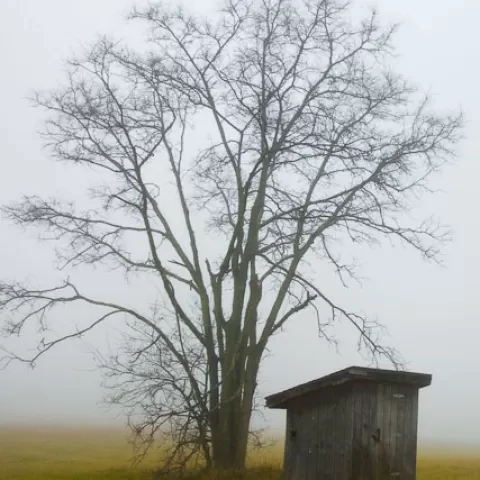 Foggy Outhouse