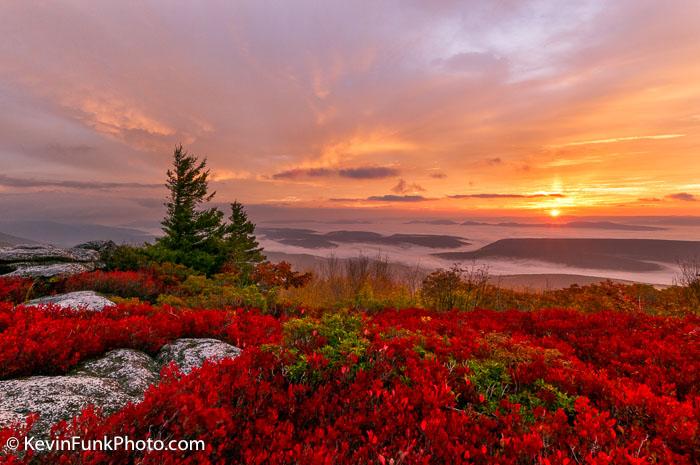 Bear Rocks Dolly Sods Wilderness West Virginia