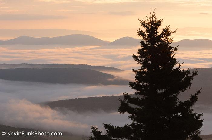 Dolly Sods Wilderness - West Virginia