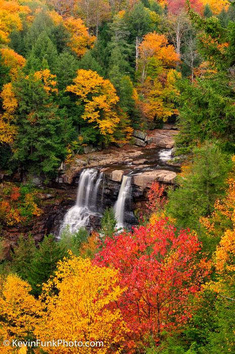 Blackwater Falls Gentle Trail Overlook - Blackwater Falls State Park - WV