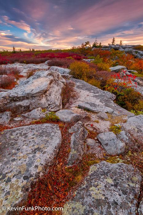 Bear Rocks Dolly Sods Wilderness - West Virginia