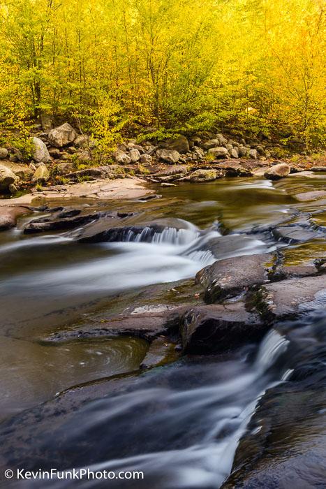 Red Creek Dolly Sods Wilderness West Virginia