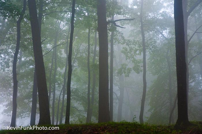 Coopers Rock State Forest West Virginia