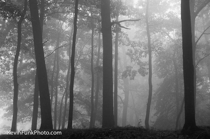 Coopers Rock State Forest West Virginia