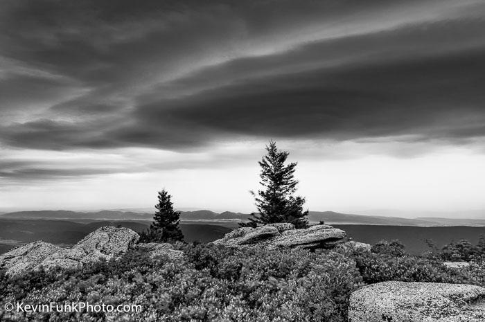 Bear Rocks Dolly Sods Wilderness West Virginia