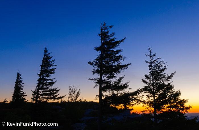 Bear Rocks Dolly Sods Wilderness West Virginia