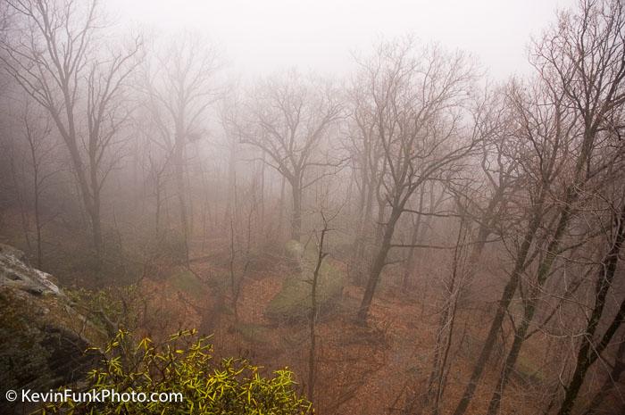 Coopers Rock State Forest - West Virginia Foggy Overlook