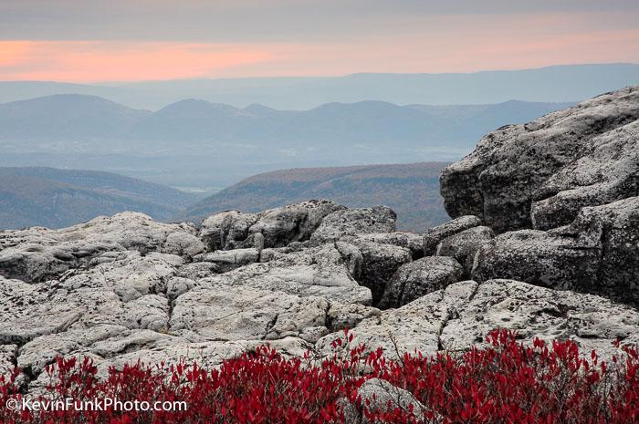 Dolly Sods Wilderness - West Virginia