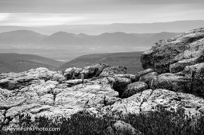 Dolly Sods Wilderness - West Virginia