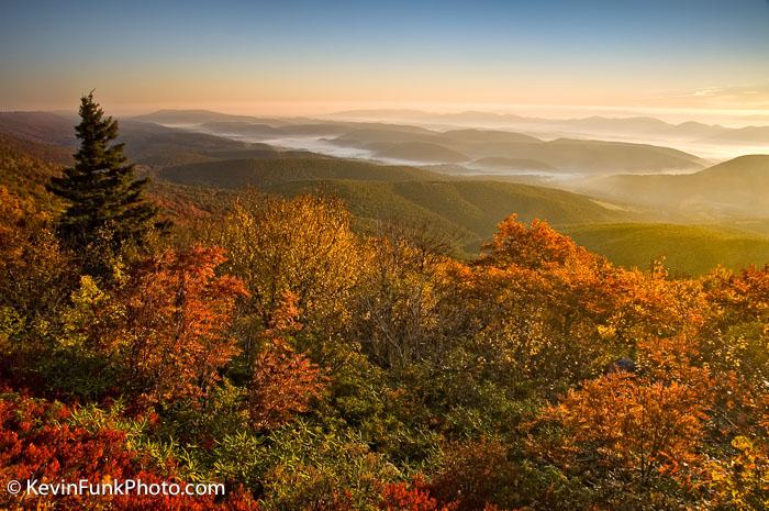 Dolly Sods Wilderness - West Virginia