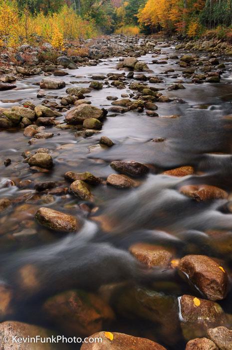 Red Creek Dolly Sods Wilderness West Virginia