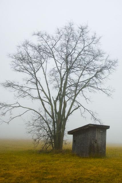 Foggy Outhouse