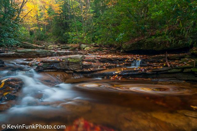 Red Run Canaan Valley - West Virginia