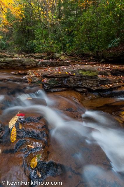 Red Run Canaan Valley - West Virginia