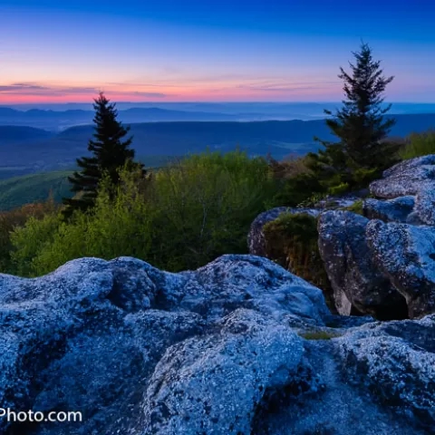 Bear Rocks Dolly Sods Wilderness - West Virginia