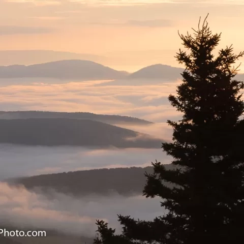 Dolly Sods Wilderness - West Virginia