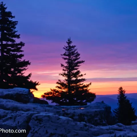 Bear Rocks Autumn Sunrise Dolly Sods Wilderness - West Virginia