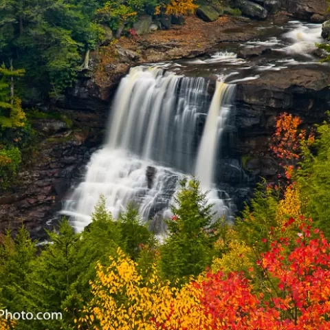 Blackwater Falls - Blackwater Falls State Park - West Virginia