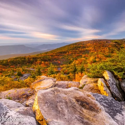 Bear Rocks Dolly Sods Wilderness - West Virginia