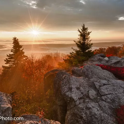 Bear Rocks Dolly Sods Wilderness West Virginia