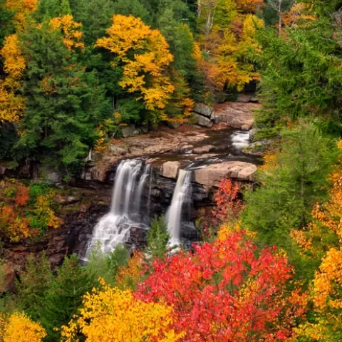 Blackwater Falls Gentle Trail Overlook - Blackwater Falls State Park - WV