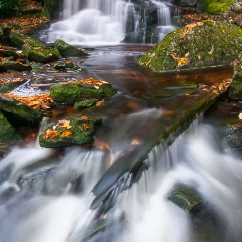 Elakala Falls #2 Blackwater Falls State Park West Virginia