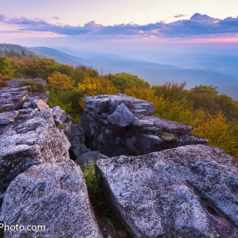 Bear Rocks Dolly Sods Wilderness - West Virginia