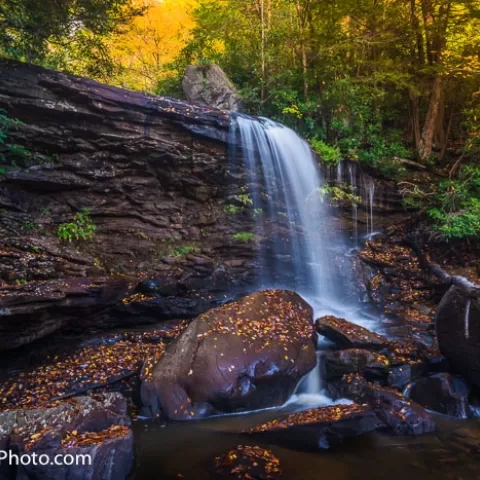 Pendleton Falls #4 Blackwater Falls State Park  West Virginia