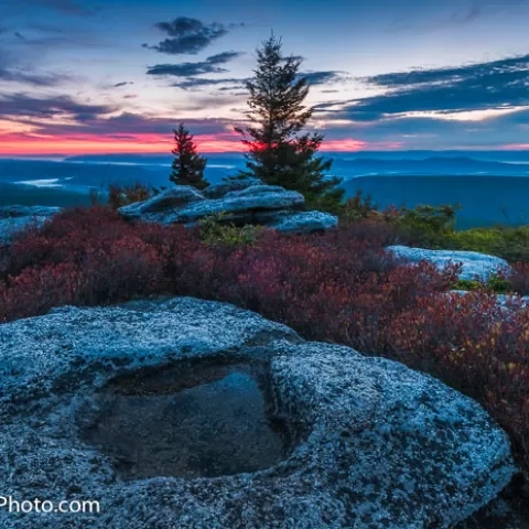 Bear Rocks Dolly Sods Wilderness - West Virginia