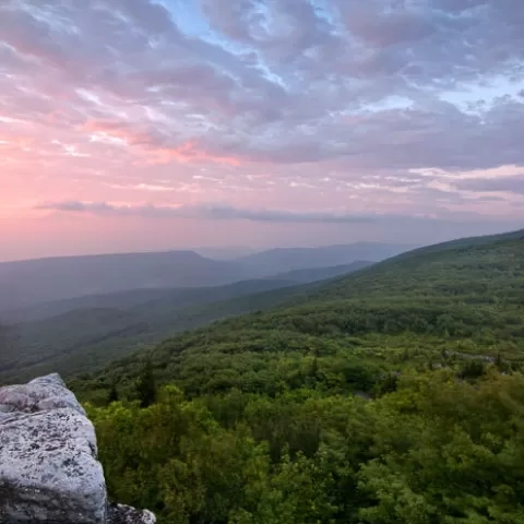 Bear Rocks Dolly Sods Wilderness West Virginia