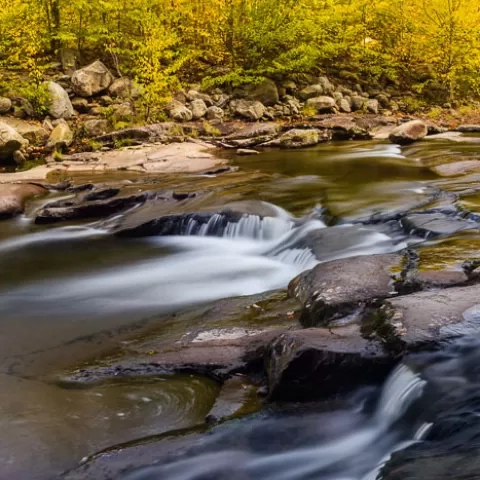 Red Creek Dolly Sods Wilderness West Virginia