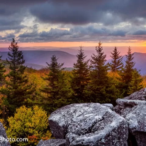 Dolly Sods Wilderness - West Virginia