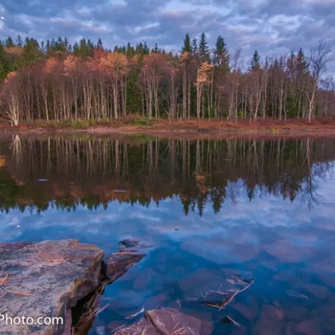 Pendleton Lake - Blackwater Falls State Park - West Virginia