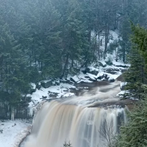 Blackwater Falls - Blackwater Falls State Park - West Virginia