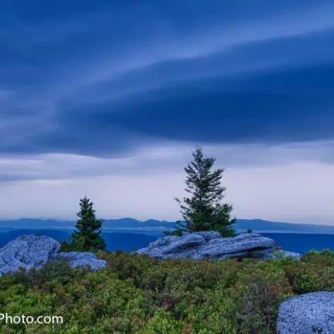 Bear Rocks Dolly Sods Wilderness West Virginia