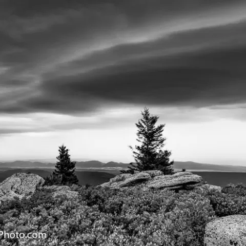 Bear Rocks Dolly Sods Wilderness West Virginia