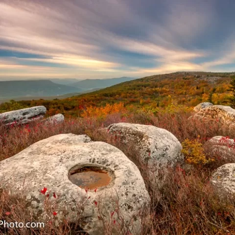 Bear Rocks Dolly Sods Wilderness - West Virginia